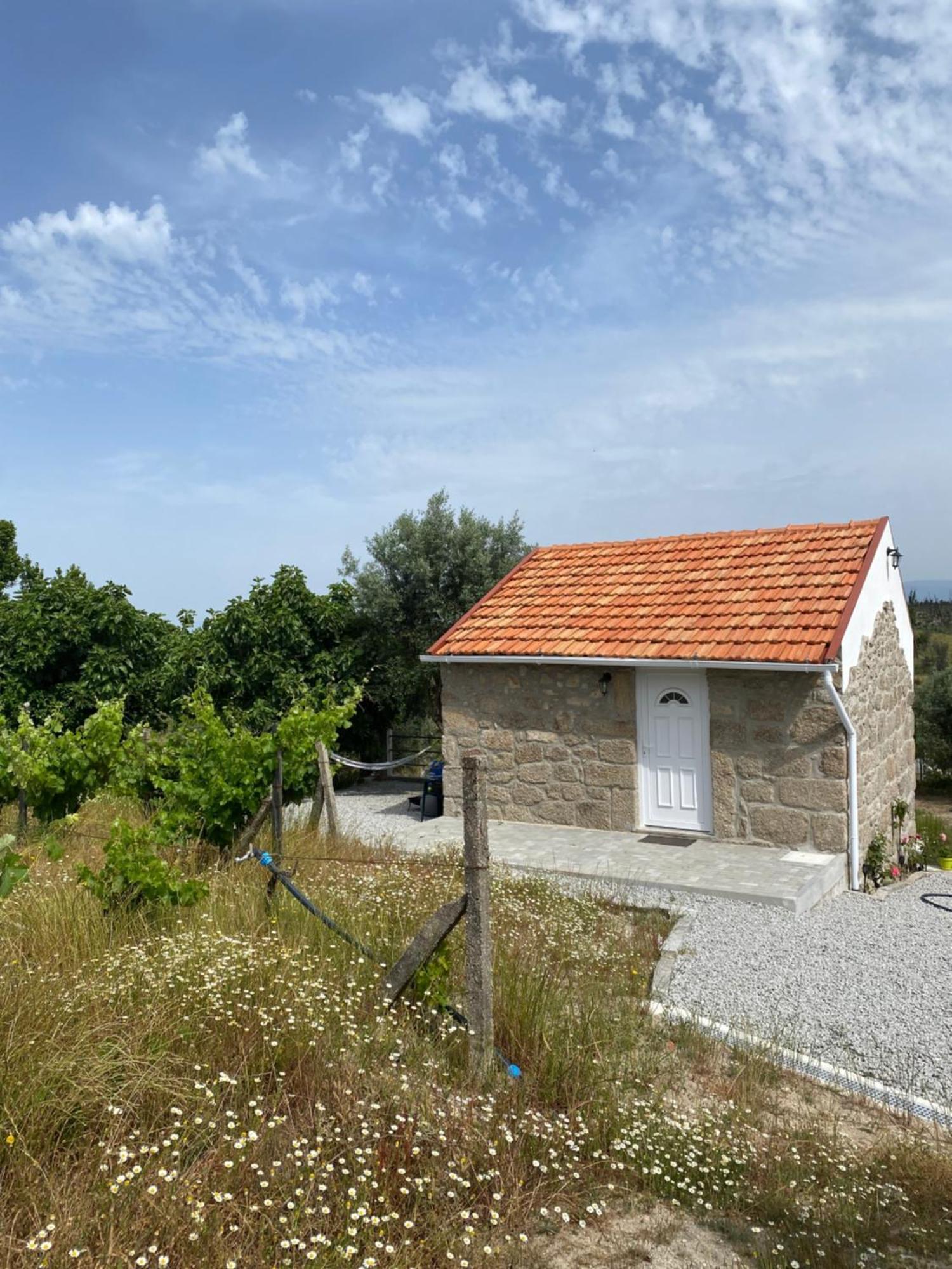 넬라스 Casa De Pedra Em Vinha No Dao 빌라 외부 사진