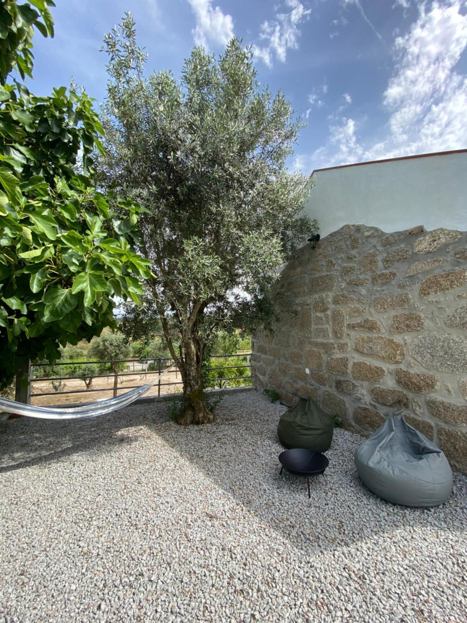넬라스 Casa De Pedra Em Vinha No Dao 빌라 외부 사진